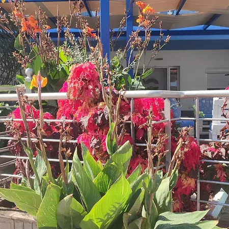 Celeste Deluxe سكالا بوتامياس